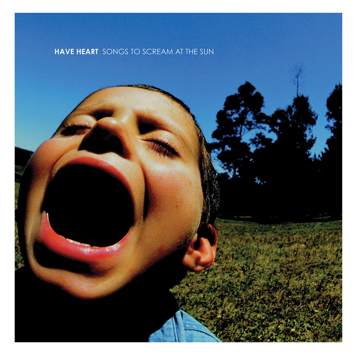 Songs to Scream at the Sun